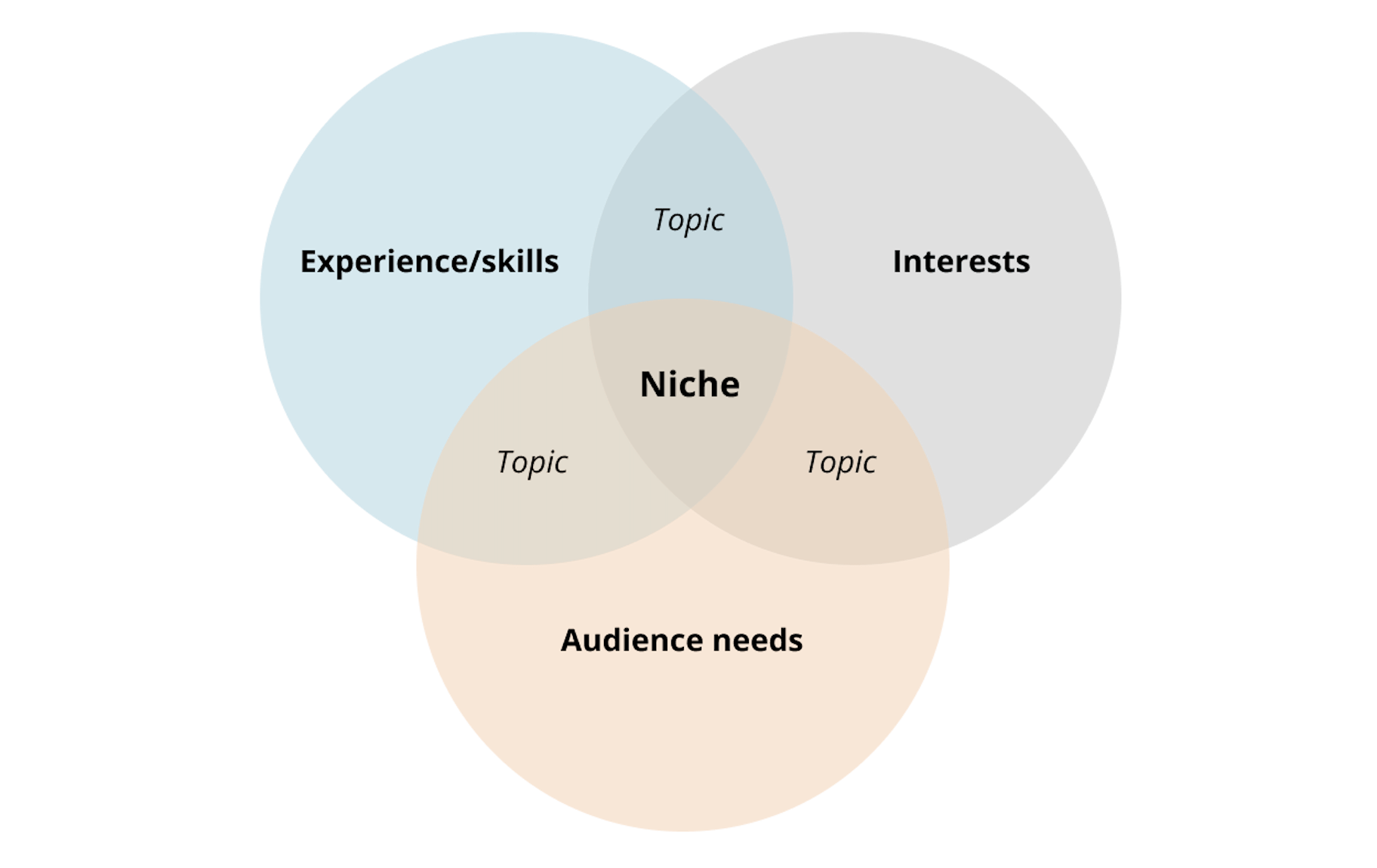 find your niche as a digital creator